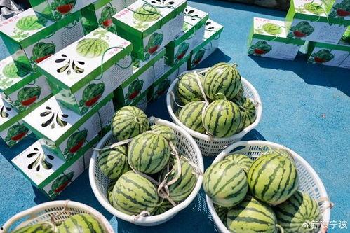 甜的娱乐吃瓜,揭秘娱乐圈甜蜜瓜皮背后的故事 第3张 甜的娱乐吃瓜,揭秘娱乐圈甜蜜瓜皮背后的故事 第3张